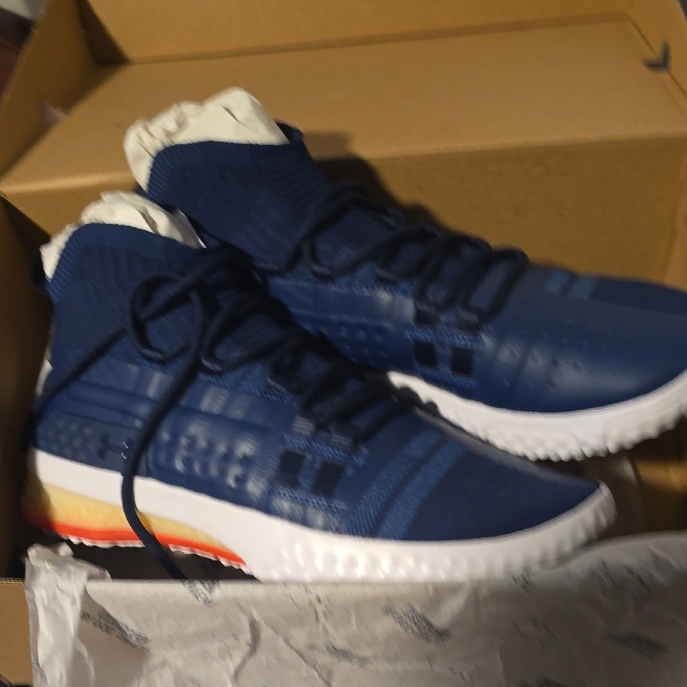 PROJECT ROCK 1s UNDER ARMOUR Size 11 Worn 1 Time Been In My Closet Fpr Years....